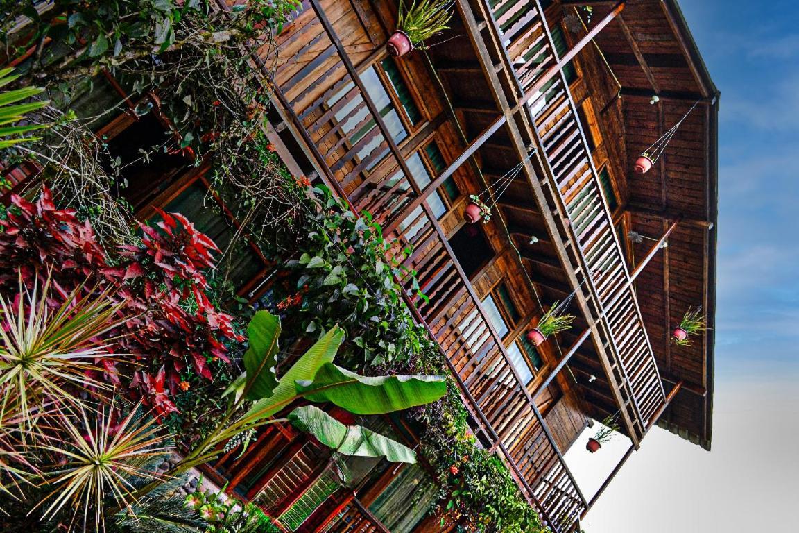 Mindo Green House エクステリア 写真