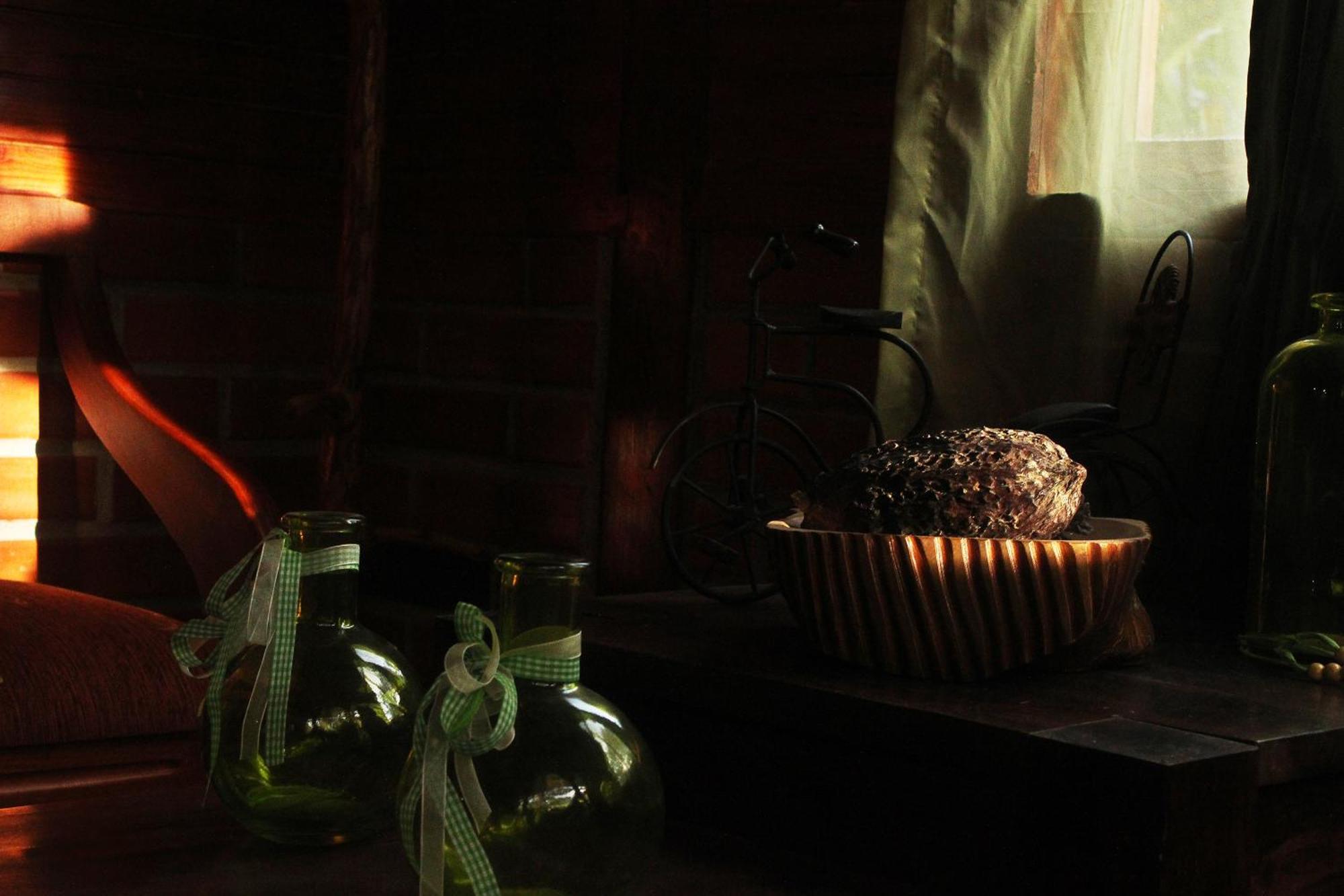 Mindo Green House エクステリア 写真